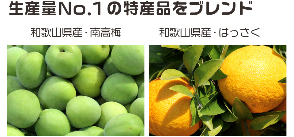 本場の産地紀州南高梅,生産量一番の和歌山のはっさく果汁