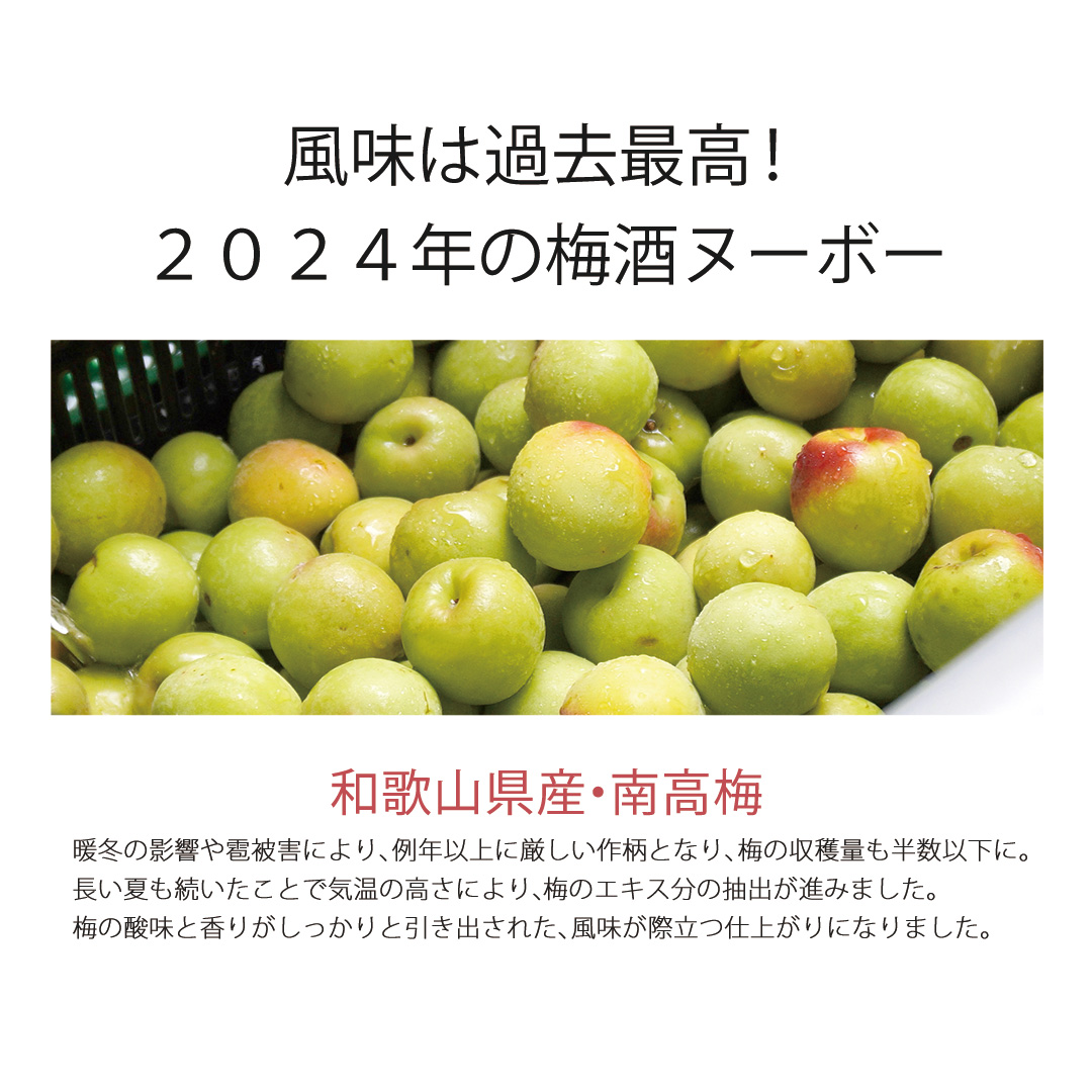 風味は過去最高！2023年の梅酒ヌーボー 和歌山県産・南高梅