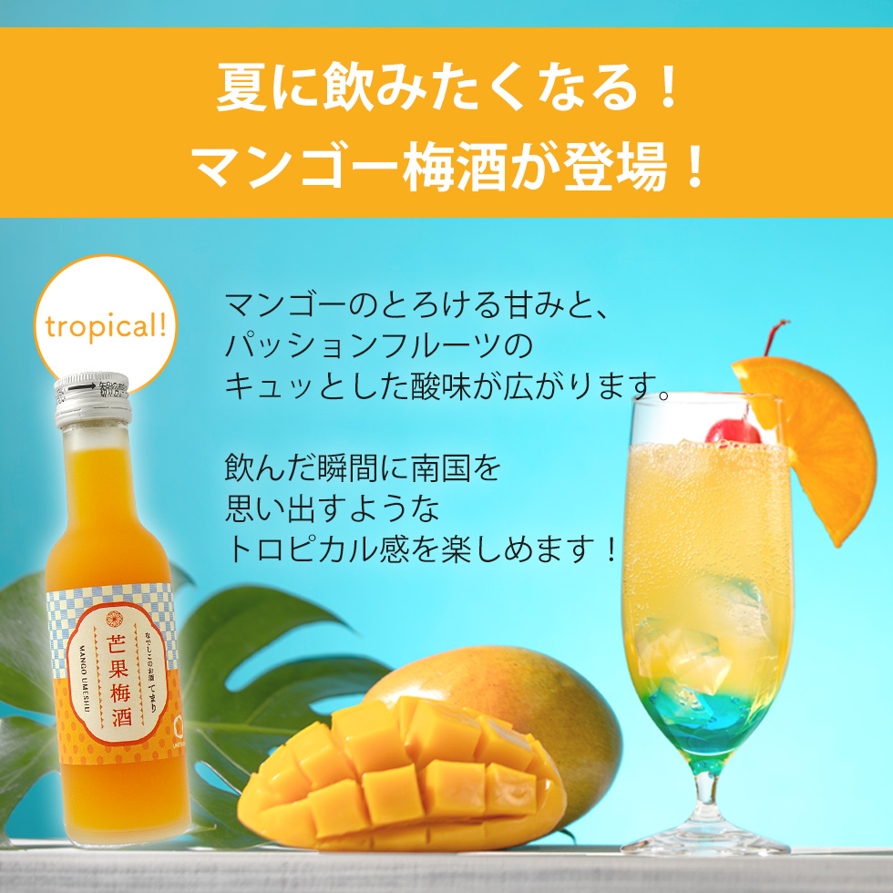 商品紹介